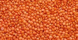 Red Lentils: The Red Footballs are also made from