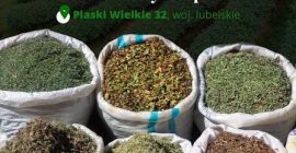 Компания Polskie Zioła специализируется на поиске и поставке высококачественных