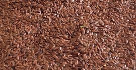 Kazakhstan-origin oil flaxseed available for export. Quantity: 1,000 MT.