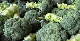 Broccoli in vendita. Consegne regolari, fornitore affidabile.