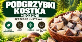 PODGRZYBEK KOSTKA MROŻONA POLSKIE GRZYBY LEŚNE Z ATESTEM ZE