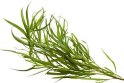 Dried tarragon leaves, without toxic residues. Cultivated in Golbaf