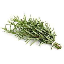 I have more than 500 fully grown rosemary plants.