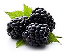 Will establish cooperation with blackberry growers in tunnels