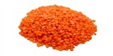 for sale lentils wholesale quantities