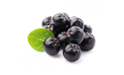 I WILL SELL ARONIA PLEASE CONTACT TEL. TO AGREE