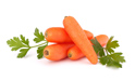Carottes