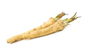 Organic horseradish with an ecological certificate, tel.604433648, mgm.mgj@wp.pl