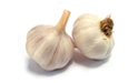 Garlic for sale at a very good price of
