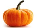 Hello, I have for sale decorative pumpkins of various