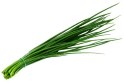 Fresh chives for sale, approximately 10,000 bunches, prices negotiable