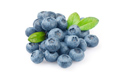 Hersteller von kultivierten Blaubeeren, frischem Obst in Aufläufen und