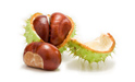 I spread fresh chestnuts