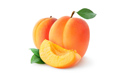 Ein einzelner Produzent verkauft Aprikosen in großen Mengen, etwa