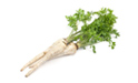 I will sell dirty, nice white parsley, about 50