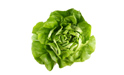 I will sell about 10 thousand. butter lettuce. Weight