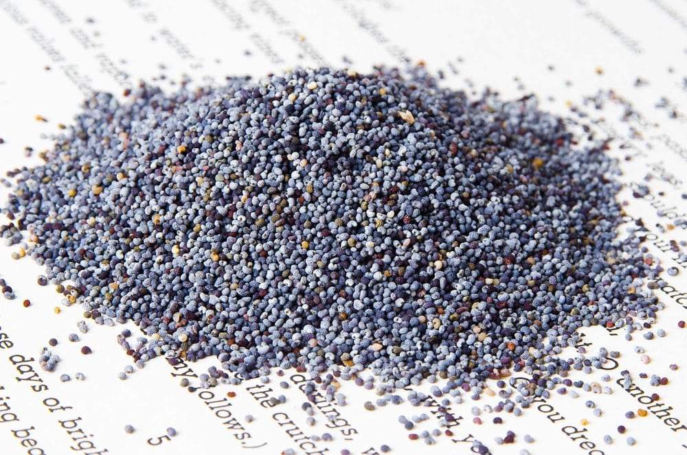 Poppy Seed For Sell In Hungary Blue White We