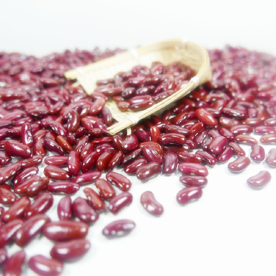 Fresh Harvest Green Mung Beans Kidney Beans For