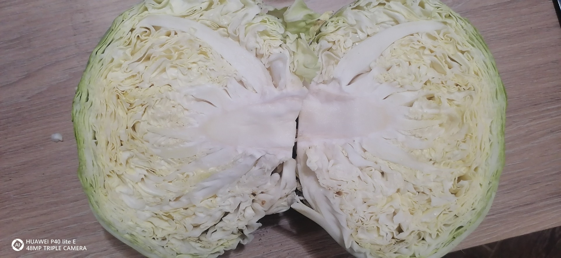 I offer Balkan cabbage, price without VAT 1.20