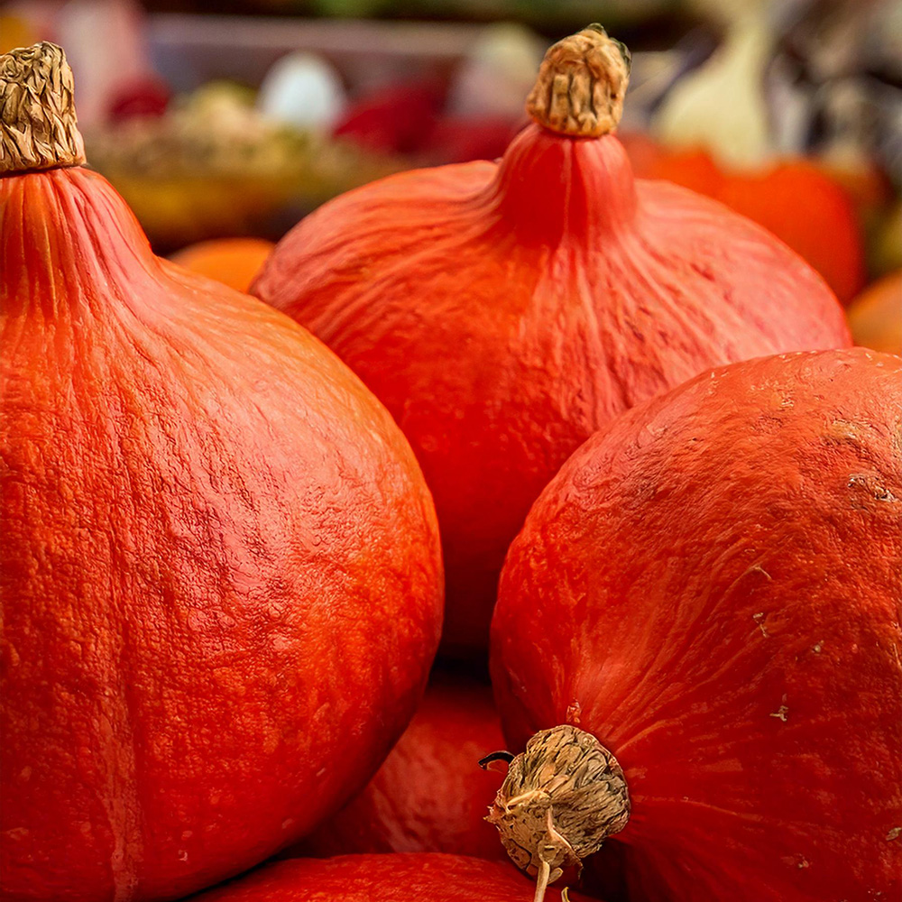 Zucca Hokkaido: Come Prepararla E Gustarla - Fatto In Casa Da