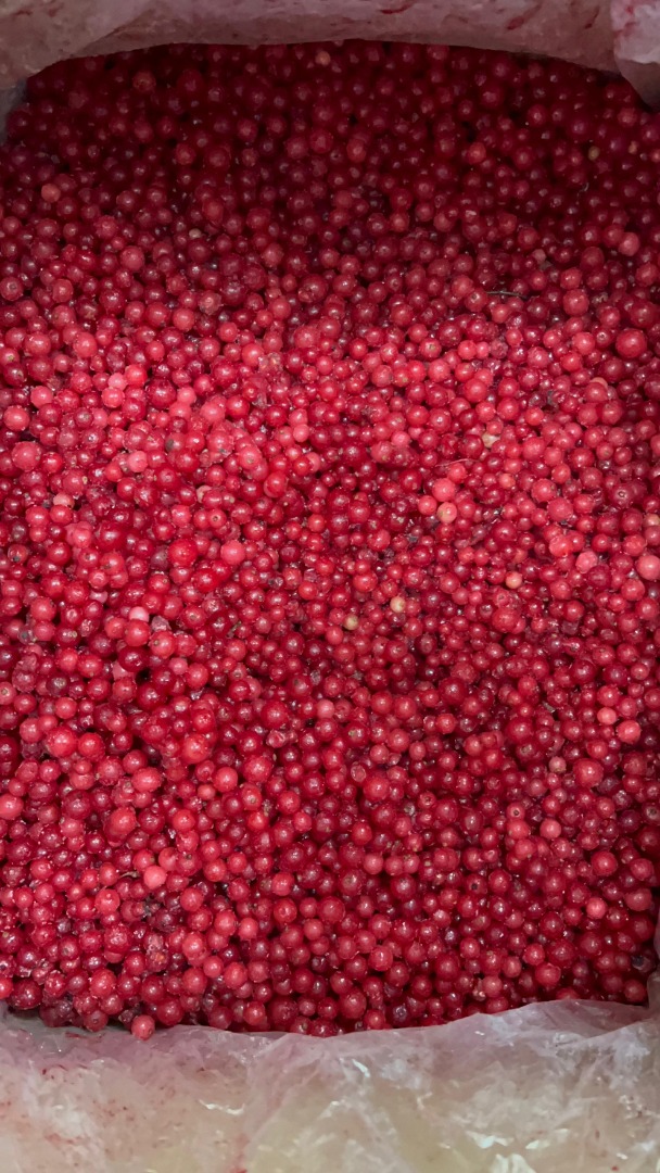 Raspberry 95/5 - frozen 10 kg packing